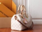 Louis Vuitton Speedy Bandoulière 25 LV crafty collection - Image 2