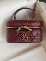 Dior Caro Mini Vanity Cases Bag - Image 4