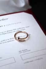 Cartier Plain Nail Ring - Image 6