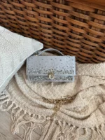 Dior Vanity Long Top Handle Bag with Charm - Image 4