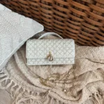 Dior Vanity Long Top Handle Bag with Charm