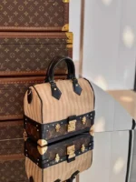Louis Vuitton Speedy Monogram Jacquard Trunk Top Handle Bag - Image 2