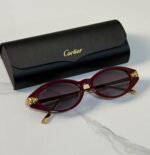 Panthère de Cartier Acetate Cat-Eye Sunglasses (Model: CT0638S / Light Panthère C)