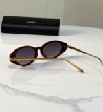 Panthère de Cartier Acetate Cat-Eye Sunglasses (Model: CT0638S / Light Panthère C) - Image 3